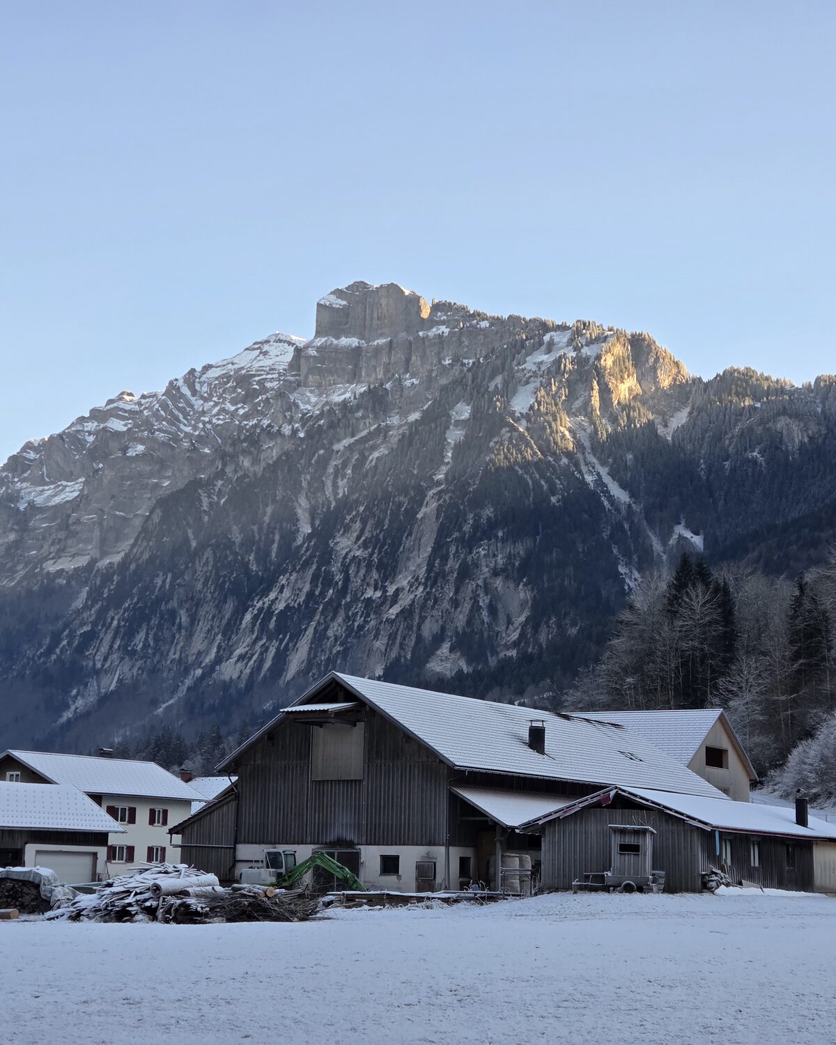 Das Mellauer Haus